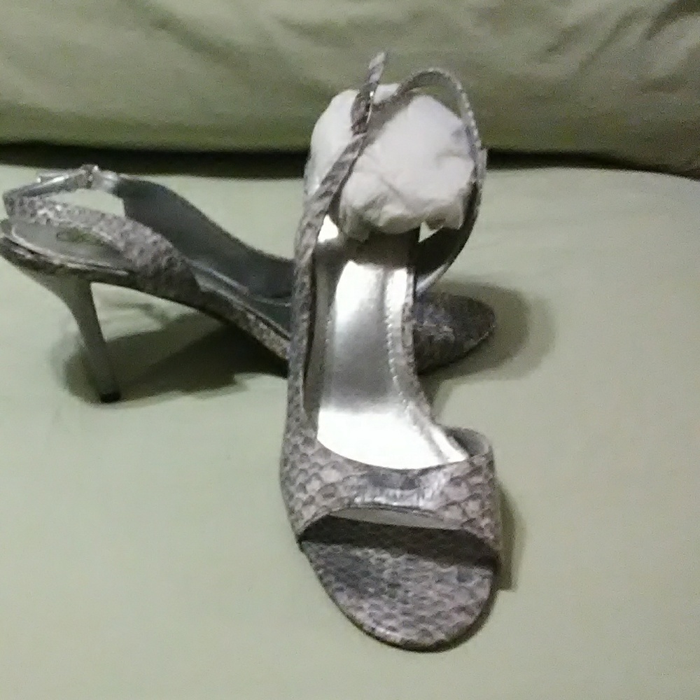 Grey python - Picture 2 of 4